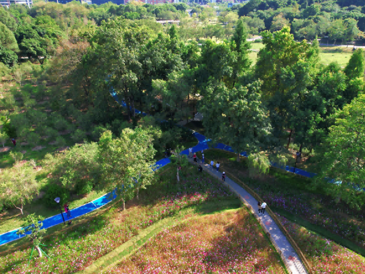 Innovation Park, Huangpu District, Guangzhou
